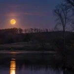 Beaver Moon 2026 rising above a late-autumn landscape