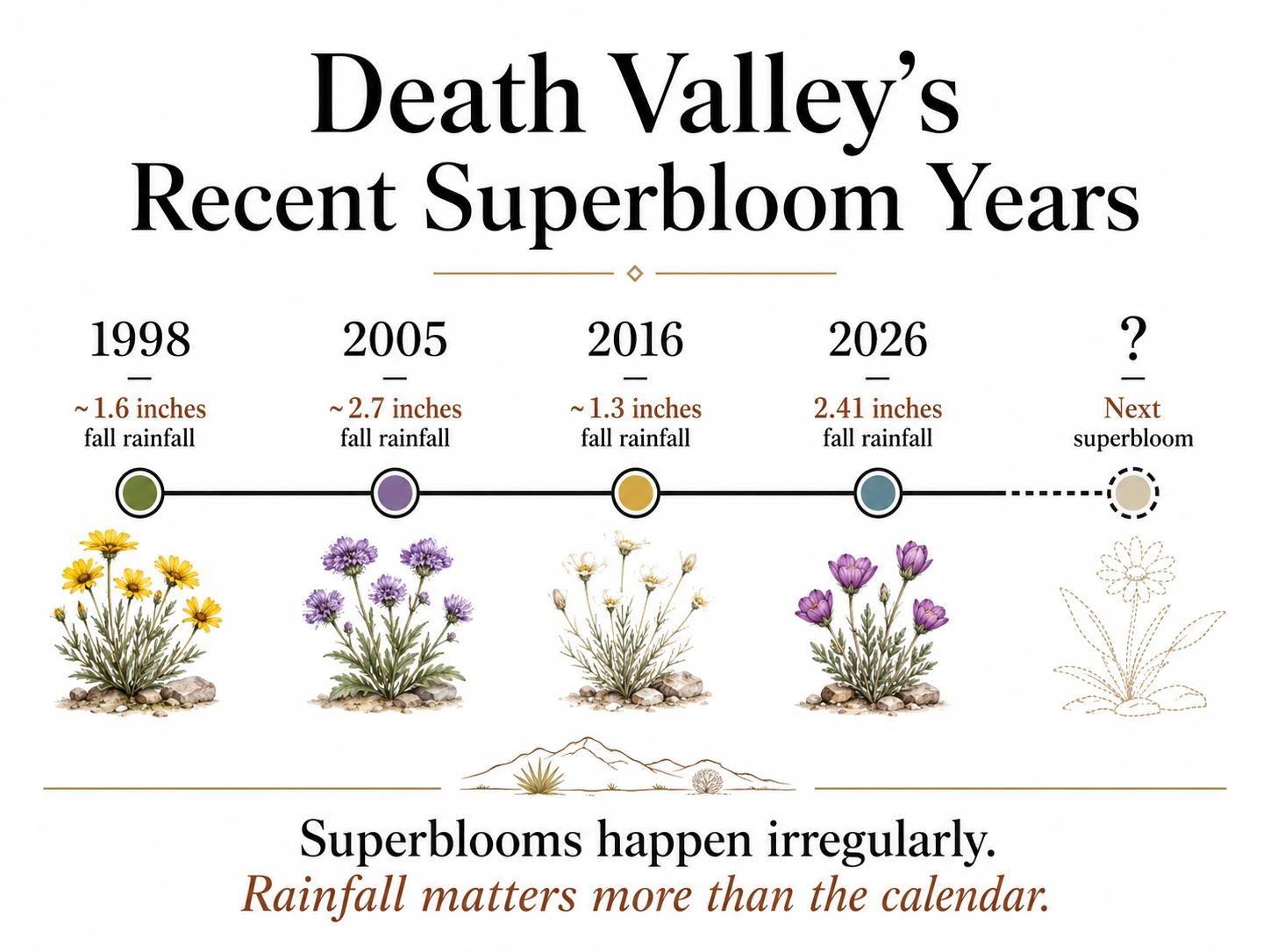 Timeline of Death Valley superbloom years from 1998 to 2026 with fall rainfall totals.