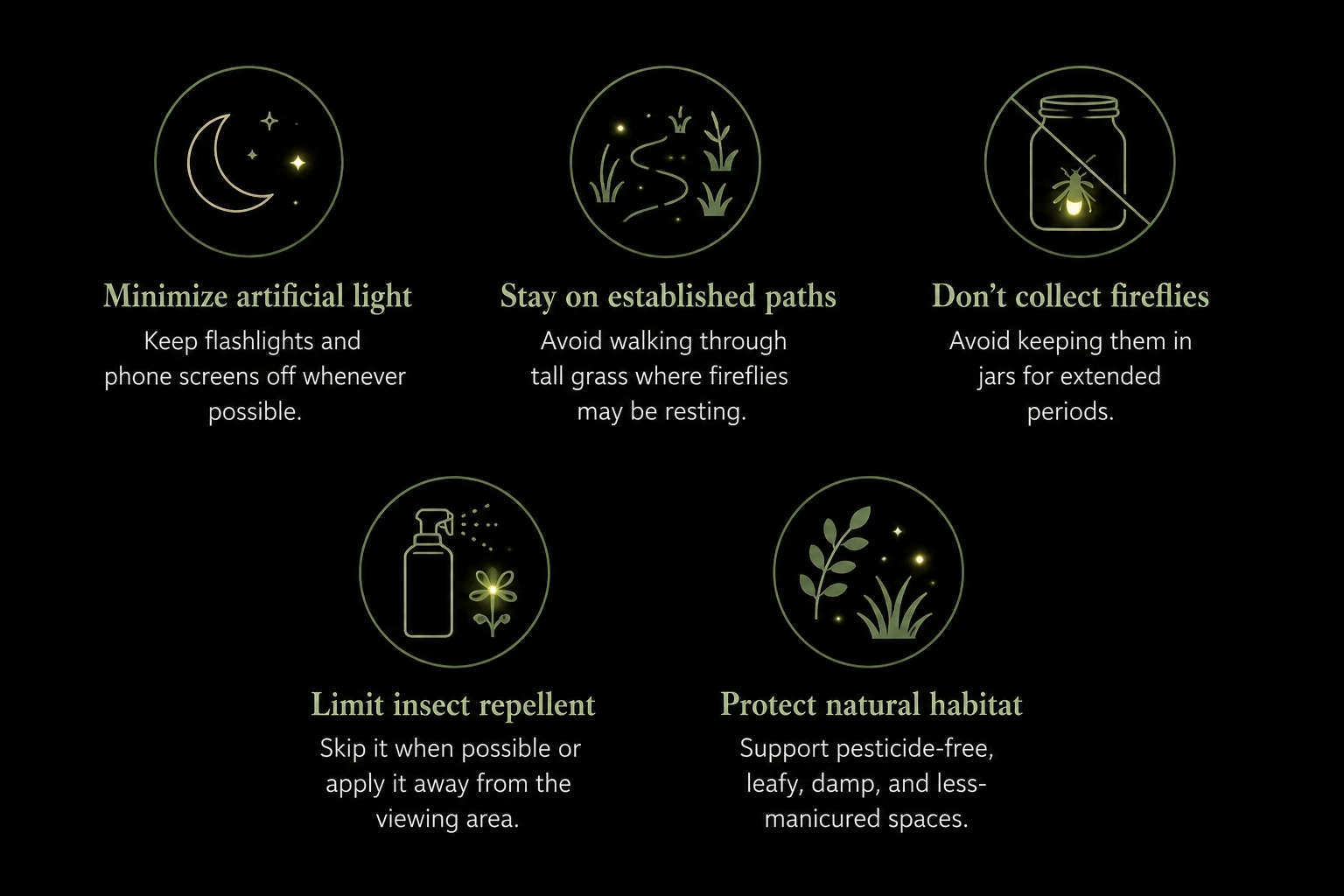 Five illustrated tips for responsible firefly watching, including reducing artificial light, staying on paths, and protecting habitat.