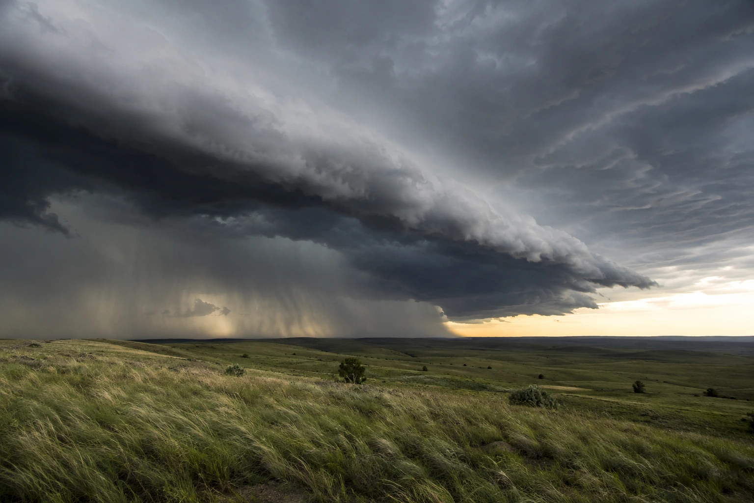 Strong winds blowing across grassland beneath a large storm front