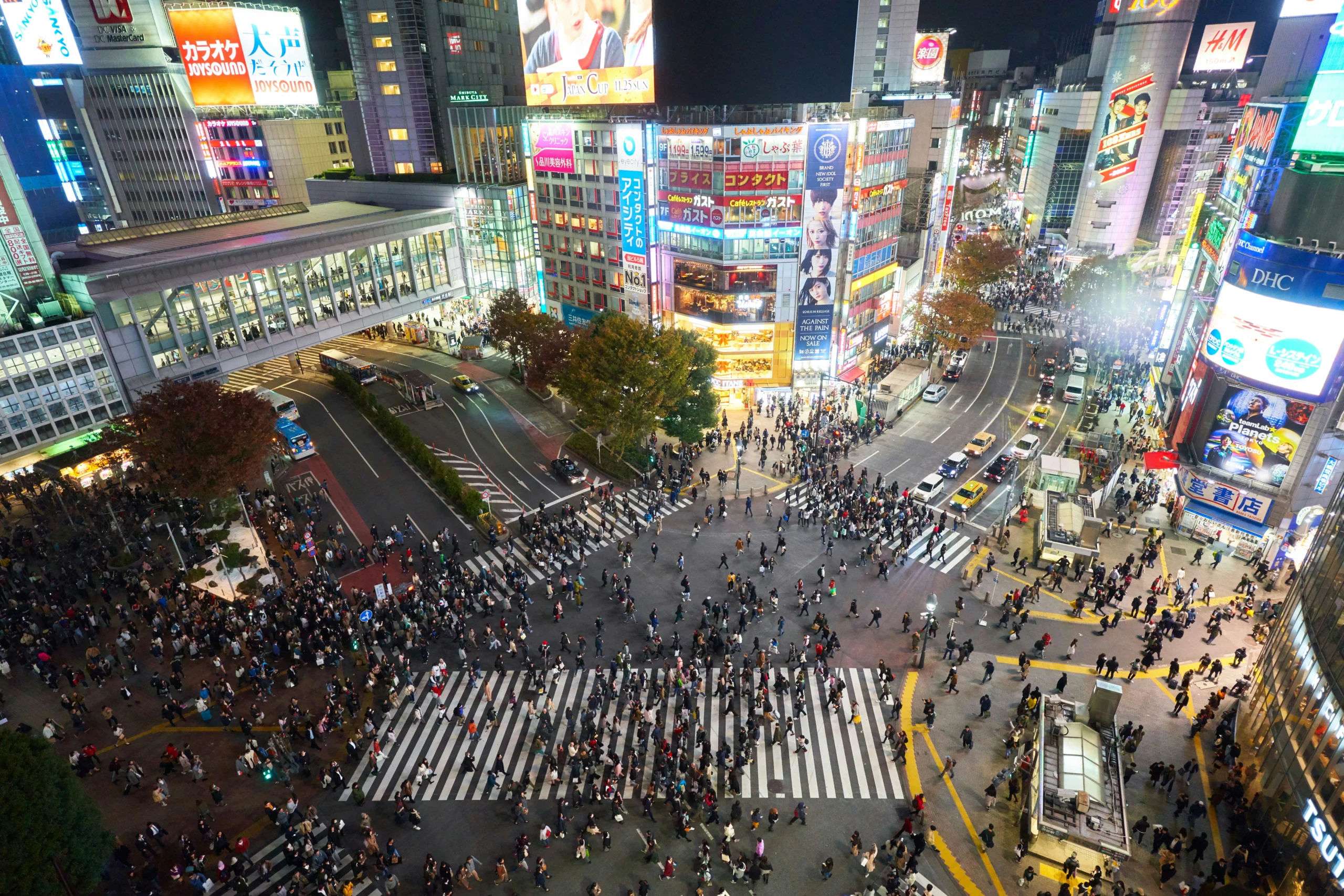 Shibuya Crossing at night in Tokyo, a stop on this 7-day Japan itinerary.