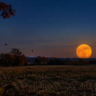 Hunter’s Moon 2026: Meaning, Date, Time & How to See It