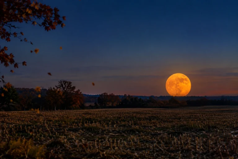 Hunter’s Moon 2026: Meaning, Date, Time & How to See It