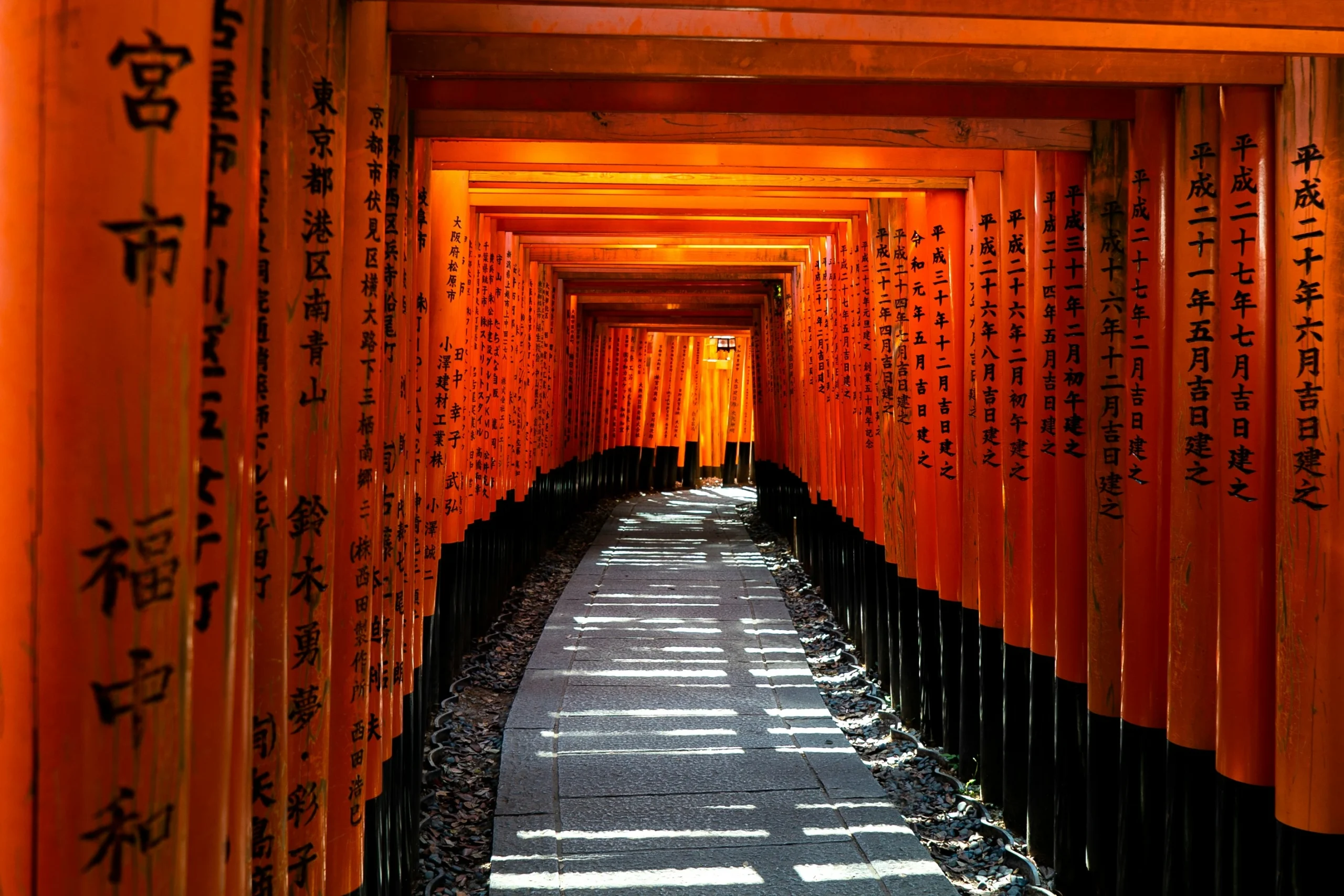 Sunlight falls across a stone path beneath vermilion torii gates at Fushimi Inari in Kyoto.